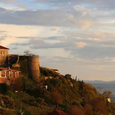 Отель Pisha Panoramic